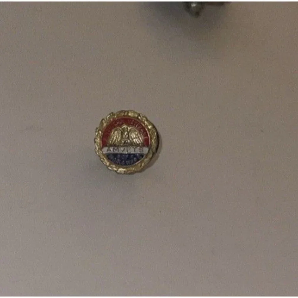 WWII ORIGINAL AMERICAN VETERANS AMVETS OF WORLD WAR II LAPEL PIN Free Shipping
